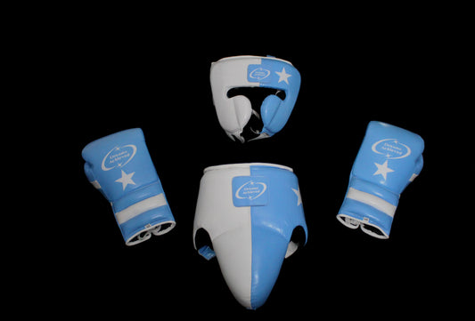 Custom Boxing Sparring Set